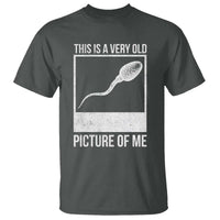 Funny This Is A Very Old Picture Of Me T Shirt Adult Humor Gag Gift - Wonder Print Shop