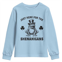 Funny St Patrick's Day Just Here For The Shenanigans Youth Sweatshirt Frog Shamrock