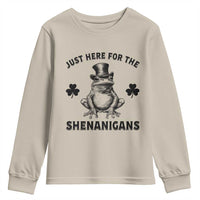 Funny St Patrick's Day Just Here For The Shenanigans Youth Sweatshirt Frog Shamrock