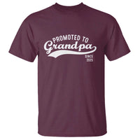 Funny New Grandpa Promoted To Grandpa Since 2025 T Shirt Baby Announcement