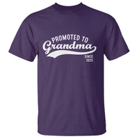 Funny New Grandma Promoted To Grandma Since 2025 T Shirt Baby Announcement