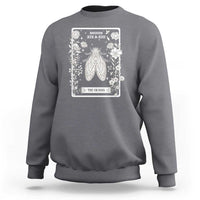 Cicada Sweatshirt Broods XIX And XIII The Cicadas Entomology 2024 - Wonder Print Shop