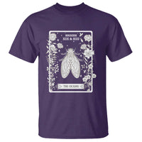 Cicada T Shirt Broods XIX And XIII The Cicadas Entomology 2024 - Wonder Print Shop