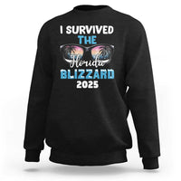 Funny I Survived The Florida Blizzarad Sweatshirt Snow Sunglasses