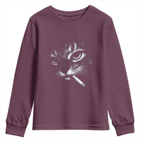 Funny Cat Smoking Cigarette Meme Youth Sweatshirt Cat Face Y2K Graphic