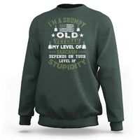 I Am A Grumpy Old Veteran My Level Of Sarcasm Depends On Your Level Of Stupidity Sweatshirt - Wonder Print Shop