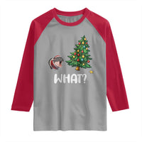 Funny Moo Deng Christmas Raglan Shirt What Santa Cute Hippo Zoo Meme Baby Pygmy Xmas Tree - Wonder Print Shop