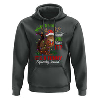 Funny Christmas Vacation Squirrel Movie Hoodie Whats That Sound You Hear It It Is A Funny Squeaky Sound - Wonder Print Shop