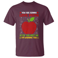 Funny Math Teacher T Shirt You Are Gonna Love Math After You Meet Me I'm Warning You - Wonder Print Shop