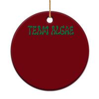 Team Algae Ceramic Ornament Political Satire Lincoln Reflecting Pool Midterm