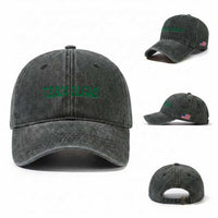 Team Algae Washed Cotton Baseball Cap Political Satire Lincoln Reflecting Pool Midterm