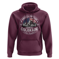 Colorado 150 America 250 Years Hoodie Colorado Sesquicentennial Anniversary 1876 2026