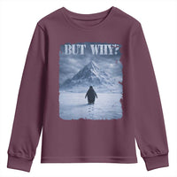Nihilist Penguin But Why Youth Sweatshirt Snow Mountains Motivational Penguin Meme