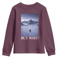 Nihilist Penguin But Why Youth Sweatshirt Lone Penguin Walking Toward Mountain Meme