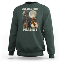 Justice For Peanut The Squirrel 2024 Moon Sweatshirt - Wonder Print Shop