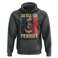 Justice For Peanut The Squirrel 2024 Hoodie