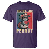 Justice For Peanut The Squirrel 2024 T Shirt - Wonder Print Shop