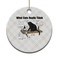 Funny Physics Cat Meme Ceramic Ornament What Cats Really Think