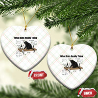 Funny Physics Cat Meme Ceramic Ornament What Cats Really Think