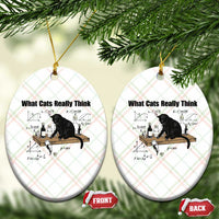 Funny Physics Cat Meme Ceramic Ornament What Cats Really Think