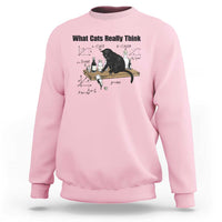 Funny Physics Cat Meme Sweatshirt What Cats Really Think