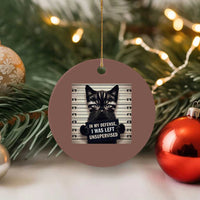Funny Bad Cat Attitude Ceramic Ornament In My Defense I Was Left Unsupervised