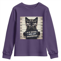 Funny Bad Cat Attitude Youth Sweatshirt In My Defense I Was Left Unsupervised