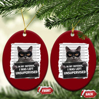 Funny Cat Mugshot Ceramic Ornament In My Defense I Was Left Unsupervised