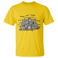 Funny Raccoon Grandpa T Shirt Chaos Coordinator Grandpa Life Graphic