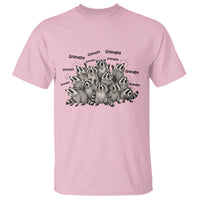 Funny Raccoon Grandpa T Shirt Chaos Coordinator Grandpa Life Graphic