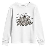 Funny Raccoon Grandpa Youth Sweatshirt Chaos Coordinator Grandpa Life Graphic