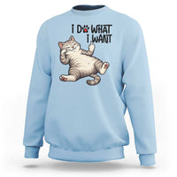Cat Lover Sweatshirt Funny I Do What I Want - Wonder Print Shop