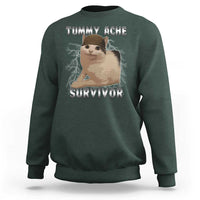 Tummy Ache Survivor Sweatshirt Cat Meme Humor Gift - Wonder Print Shop