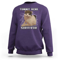 Tummy Ache Survivor Sweatshirt Cat Meme Humor Gift - Wonder Print Shop