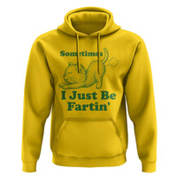Funny Cat Sometimes I Just Be Fartin Hoodie Pet Lover
