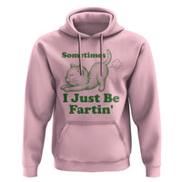 Funny Cat Sometimes I Just Be Fartin Hoodie Pet Lover