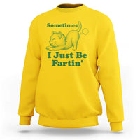 Funny Cat Sometimes I Just Be Fartin Sweatshirt Pet Lover