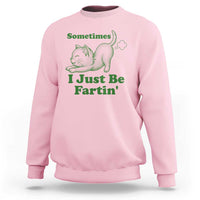 Funny Cat Sometimes I Just Be Fartin Sweatshirt Pet Lover
