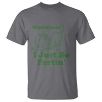 Funny Cat Sometimes I Just Be Fartin T Shirt Pet Lover