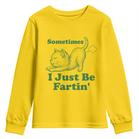Funny Cat Sometimes I Just Be Fartin Youth Sweatshirt Pet Lover
