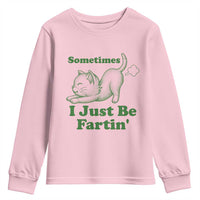 Funny Cat Sometimes I Just Be Fartin Youth Sweatshirt Pet Lover