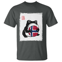 Grumpy Frog Norway Soccer Fan T Shirt Japanese Style Match Day