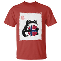 Grumpy Frog Norway Soccer Fan T Shirt Japanese Style Match Day