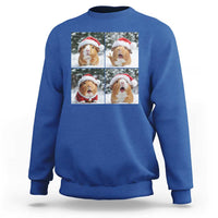 Funny Guinea Pig With Santa Hat Photobooth Sweatshirt Christmas Gift - Wonder Print Shop
