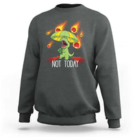 Dinosaur Meteor Shower Astronomy Humor Sweatshirt Not Today