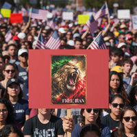 Free Iran Lion Protest Sign Freedom Resistance Solidarity Movement Gift