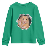 Funny Curious Hamster Peeking Through A Cracked Wall Meme Youth Sweatshirt