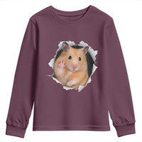 Funny Curious Hamster Peeking Through A Cracked Wall Meme Youth Sweatshirt