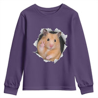 Funny Curious Hamster Peeking Through A Cracked Wall Meme Youth Sweatshirt