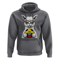 Funny Ecuador Alpaca Soccer Lover Hoodie South American Pride Gift